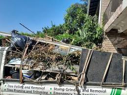 Best Attic Cleanout  in Minneota, MN